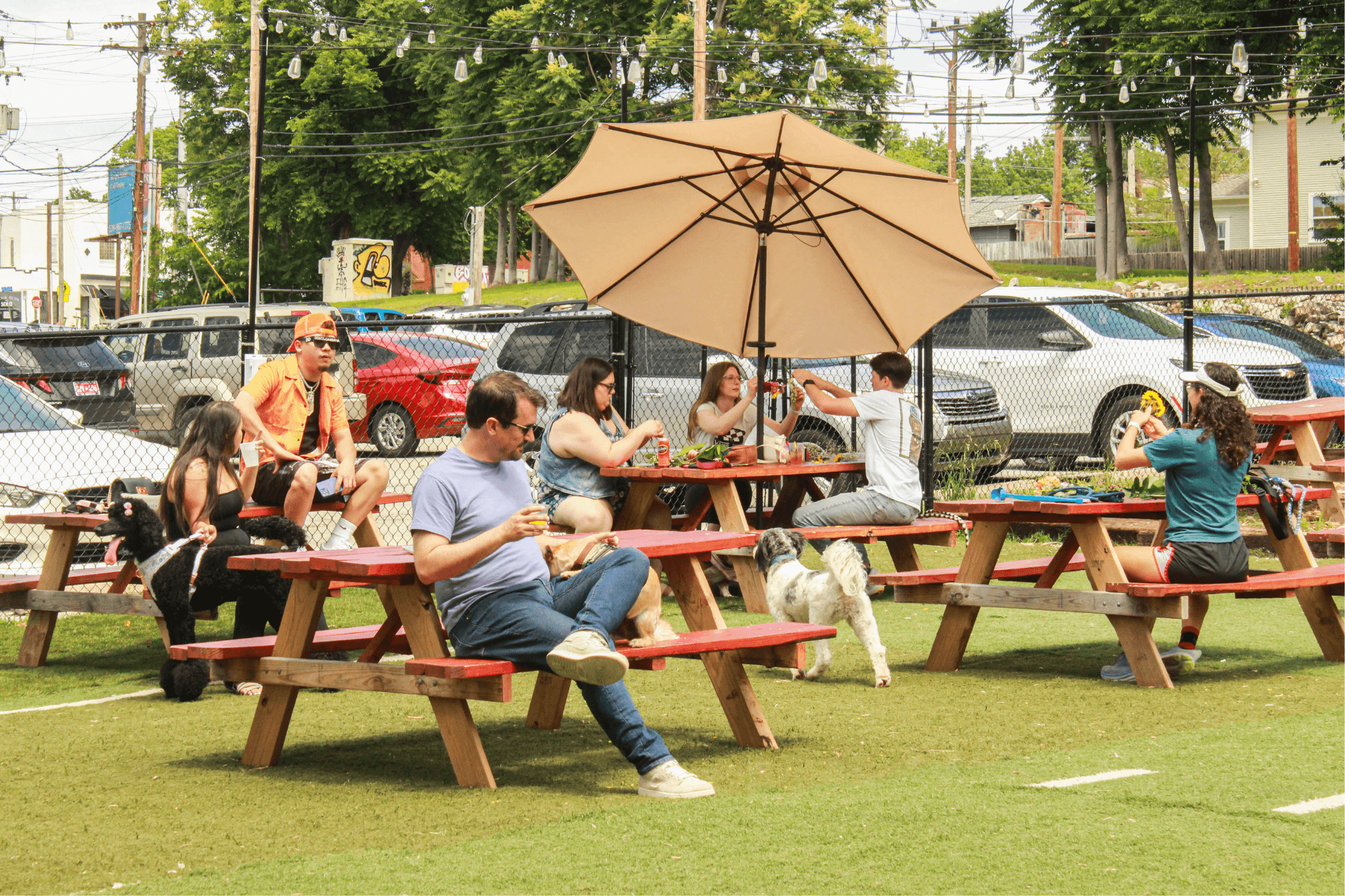Outdoor dog park with people